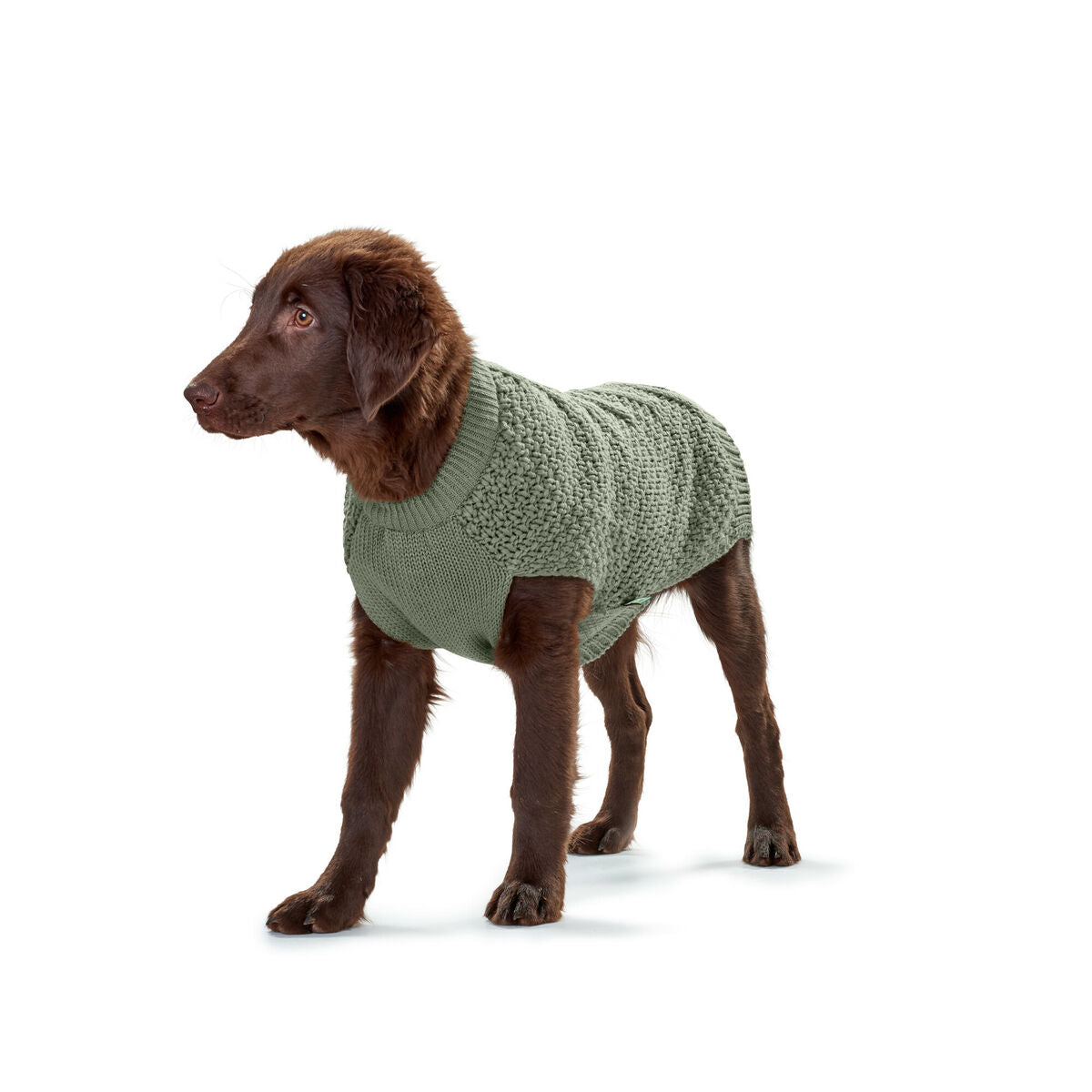 4016739694997 - Jersey für den Hund Malmö grün 4016739694997 - Jersey für den Hund Malmö grün