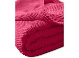 4016765202456 - Wäschefabrik Kneer Ek - Kneer la Diva Pique Decke Qualität 91 Farbe rubin Größe 150x210 cm Kuscheldecke