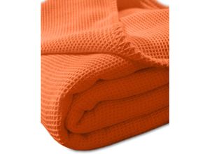 4016765202463 - Wäschefabrik Kneer Ek - Kneer la Diva Pique Decke Qualität 91 Farbe orange Größe 150x210 cm Kuscheldecke