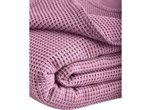 4016765407134 - Wäschefabrik Kneer Ek - Kneer la Diva Pique Decke Qualität 91 Farbe rosé Größe 150x210 cm Kuscheldecke