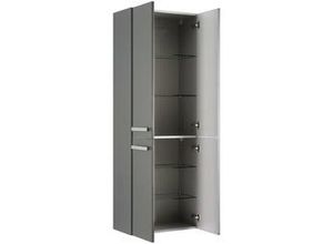 4017026096951 - Hochschrank Fokus 4005 Lack steingrau Hochglanz Breite 60 cm