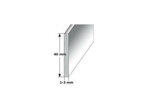 4017589687528 - Fußleiste   Sockelleiste (typ i 40) aus Aluminium Höhe 40 mm Farbe silber eloxiert Materialstärke 10 mm Befestigungsart ungebohrt - silber