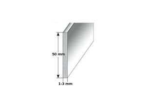 4017589688242 - Fußleiste   Sockelleiste (typ i 50) aus Aluminium Höhe 50 mm Farbe silber eloxiert Materialstärke 10 mm Befestigungsart ungebohrt - silber