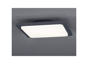 4017807274905 - Leuchten - Außen-Decken Wandleuchte trave Aluminium anthrazit Schutzklasse IP54