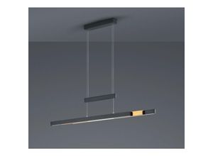 4017807504446 - - Trajan Moderner Büro-Kronleuchter Doppel-LED-Touch-Dimmer Schwarz und Messing Beleuchtung