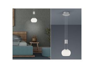 4017807542066 - Leuchten - led Pendelleuchte madison 1 flammig Silber mit Milchglas ø 18cm