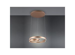 4017807577860 - Leuchten - Große led Pendelleuchte marnie geschwungen Coffee ø 65cm