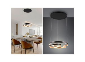 4017807579833 - Leuchten - Große led Pendelleuchte marnie geschwungen Schwarz Gold ø 65cm 4017807579833 - Leuchten - Große led Pendelleuchte marnie geschwungen Schwarz Gold ø 65cm