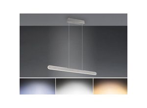 4017807597929 - Leuchten - Höhenverstellbare led Pendelleuchte helios touch dimmbar Silber Breite 100cm