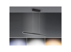 4017807597950 - Leuchten - Höhenverstellbare led Pendelleuchte helios touch dimmbar Schwarz Breite 100cm