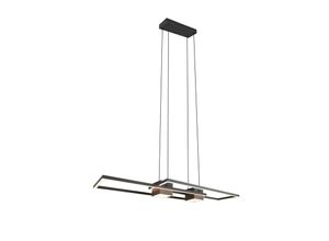 4017807610345 - Leuchten Pendelleuchte ALBANY (Farbe schwarz matt Größe onesize)