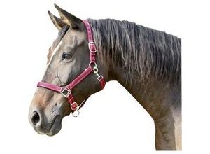4018653003138 - Cabazada Horse Mustang Nylon doppelte Einstellung Rot Gr¤e 1 - Kerbl