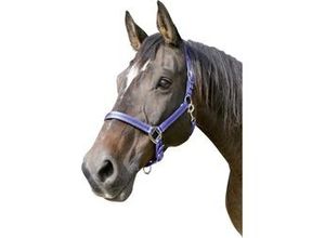 4018653003176 - Cabazada Horse Mustang Nylon doppelte Einstellung Blau Gr¤e 2 - Kerbl