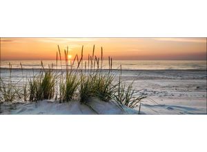 4019449399763 - PRO ART Glasbild LONELY DUNE (LB 50x125 cm) LB 50x125 cm bunt Acrylglasbild 4019449399763 - PRO ART Glasbild LONELY DUNE (LB 50x125 cm) LB 50x125 cm bunt Acrylglasbild