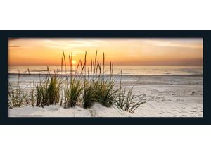 4019449405723 - PRO ART Gerahmtes Bild LONELY DUNE (BHT 130x60x2 cm) BHT 130x60x2 cm bunt