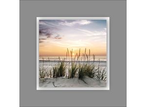 4019449422591 - PRO ART Aludibondbild BEACH IV (LB 50x50 cm) LB 50x50 cm bunt Alubild Metallbild 4019449422591 - PRO ART Aludibondbild BEACH IV (LB 50x50 cm) LB 50x50 cm bunt Alubild Metallbild