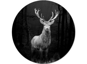 4019449453526 - Aludibondbild GREY DEER HEAD I (D 100 cm) PRO ART 4019449453526 - Aludibondbild GREY DEER HEAD I (D 100 cm) PRO ART