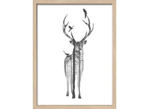 4019449457111 - PRO ART Gerahmtes-Bild DEER WITH (BHT 4250x3250x2 cm) BHT 4250x3250x2 cm bunt