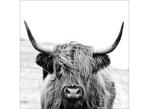 4019449462450 - PRO ART Glasbild HIGHLAND CATTLE (BHT 30x30x130 cm) BHT 30x30x130 cm bunt Acrylglasbild