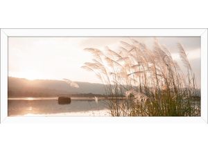 4019449475191 - PRO ART Gerahmtes Bild SUNSET LAKE (BHT 130x60x2 cm) BHT 130x60x2 cm bunt