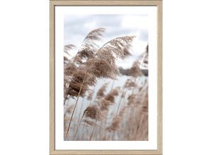 4019449478925 - PRO ART Gerahmtes Bild IN THE BREEZE (BHT 75x55x320 cm) BHT 75x55x320 cm bunt