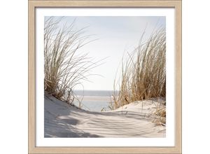 4019449492037 - PRO ART Gerahmtes Bild NORDIC BEACH (BHT 3250x3250x180 cm) BHT 3250x3250x180 cm bunt