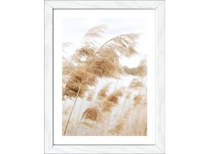 4019449493621 - PRO ART Gerahmtes Bild COAST III (BHT 19x24x180 cm) BHT 19x24x180 cm bunt