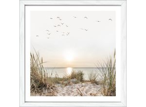 4019449493805 - PRO ART Gerahmtes Bild COAST III (BHT 28x28x180 cm) BHT 28x28x180 cm bunt