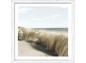 4019449493843 - PRO ART Gerahmtes Bild NORDIC BEACH V (BHT 28x28x180 cm) BHT 28x28x180 cm bunt