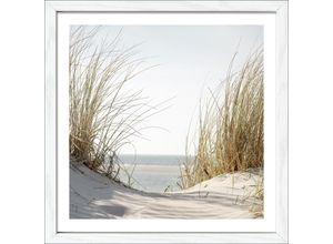 4019449493850 - PRO ART Gerahmtes Bild NORDIC BEACH V (BHT 28x28x180 cm) BHT 28x28x180 cm bunt