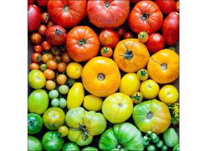 4019449497247 - PRO ART Glasbild COLORFUL TOMATOES (BHT 30x30x130 cm) BHT 30x30x130 cm bunt Acrylglasbild