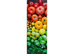 4019449497285 - Glasbild COLORFUL TOMATOES (BHT 80x30x130 cm) PRO ART