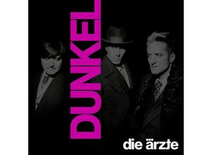 4019589019323 - DUNKEL - (Ltd 2LP mit Girlande) - Die Ärzte (LP)