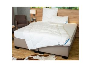 4019793508323 - BeCoSet Bettdecke & Kopfkissen BeCo Medibett MF50 Made in Green135 x 200 cm4-Jahreszeiten 4019793508323 - BeCoSet Bettdecke & Kopfkissen BeCo Medibett MF50 Made in Green135 x 200 cm4-Jahreszeiten
