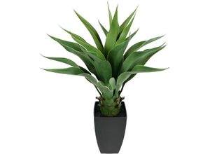 4019844619213 - Kunstpflanze IGEA Künstliche Agave im Topf Pflanze Aloe Vera Sansevieria Kunstpflanzen Gr B H L 40 cm x 70 cm x 40 cm 1 St grün Künstliche Zimmerpflanzen Grünpflanze Zimmerpflanze Palme