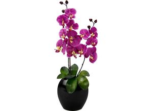 4019844712945 - Kunstpflanze IGEA Phalaenopsis in Vase Kunstpflanzen Gr B H 20 cm x 63 cm pink Künstliche Zimmerpflanzen Kunstpflanzen