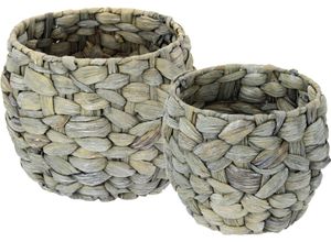 4019844755980 - Übertopf IGEA Aus Wasserhyazinthe grau B195cm H17cm Pflanzgefäße 2er Set Pflanztöpfe aus Wasserhyazinthe
