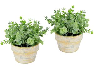 4019844760236 - Kunstpflanze Künstlicher Eukalyptus im Topf 2er Set Pflanze IGEA Höhe 15 cm Deko Blume für Hochzeit Plastikpflanze Kräuter Deko-Kräuter grün