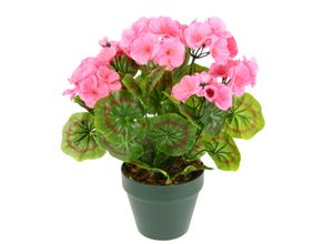 4019844779955 - IGEA Kunstpflanze »Künstliche Geranie im Topf« Geranienbusch Seidenblumen Dekopflanze Zimmerpflanze Kunstblumen