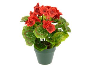 4019844779979 - Kunstpflanze IGEA Künstliche Geranie im Topf rot B22cm H28cm L22cm Polyester Kunstpflanzen Geranienbusch Seidenblumen Dekopflanze Zimmerpflanze Kunstblumen 4019844779979 - Kunstpflanze IGEA Künstliche Geranie im Topf rot B22cm H28cm L22cm Polyester Kunstpflanzen Geranienbusch Seidenblumen Dekopflanze Zimmerpflanze Kunstblumen