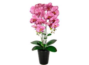 4019844790448 - Kunstblume IGEA Orchidee Kunstpflanzen Gr B H L 26 cm x 58 cm x 18 cm rosa Weitere Weihnachtsdeko Im Topf Phalaenopsis Orchidee mit Übertopf Hochzeit