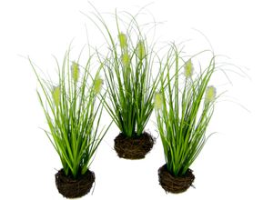 4019844798451 - Kunstgras IGEA Künstliches Gras Fuchsschwanz\ grün B10cm H26cm L10cm Kunststoff Kunstpflanzen Im Reisig-Nest 3er Set