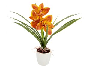 4019844800925 - Kunstblume IGEA Orchidee Kunstpflanzen Gr B H L 26 cm x 32 cm x 16 cm 1 St orange Kunst-Blumen Mit Blätter im Topf aus Keramik Künstliche Blume Cymbidium-Orchidee