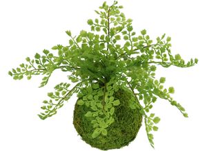 4019844802653 - Kunstpflanze IGEA Farnbusch auf Mooskugel grün B27cm H30cm L27cm Kunststoff Kunstpflanzen Künstliche Pflanze Waldfarn