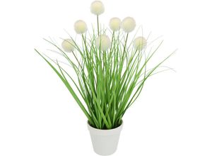 4019844806170 - Kunstpflanze IGEA Knopfgras im Topf weiß B25cm H45cm L25cm Kunststoff Kunstpflanzen