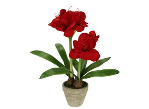 4019844808792 - IGEA Kunstblume »Amaryllis im Topf« 50cm Blume Weihnachtsblume Weihnachtsdeko Winterblume Floristik
