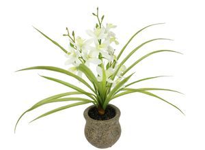 4019844810139 - Kunstblume IGEA Kunstblume Schmetterling Orchidee mit Keramiktopf weiß B39cm H38cm L11cm Polyester Kunstpflanzen Mit Blätter Luftwurzeln Blume Kunstorchidee Phalaenopsis Kunstpflanze