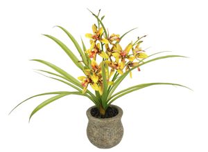 4019844810153 - Kunstblume IGEA Kunstblume Schmetterling Orchidee mit Keramiktopf orange B39cm H38cm L11cm Polyester Kunstpflanzen Mit Blätter Luftwurzeln Blume Kunstorchidee Phalaenopsis Kunstpflanze