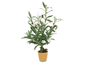 4019844810610 - IGEA Kunstpflanze »Künstlicher Olivenbaum mit schwarzen Früchten« Olive Mediterran Ölbaum Grünpflanze Kunstbaum Dekobaum Baum
