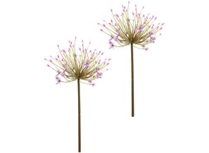 4019844812492 - Kunstblume IGEA Allium Zierlauch lila (lavender) B19cm H62cm L19cm Kunststoff Kunstpflanzen Stielblume künstliche Blumen 2er Set